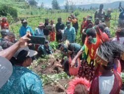 Polsek Asologaima Hadir dan Amankan Panen Raya Ubi Jalar di Wamena