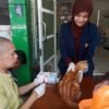 Vaksin Rabies Gratis! Warga Apresiasi Gerakan Bangsawan