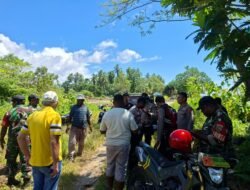 Ditemukan Satu Butir Bom Peninggalan Perang Dunia II di Pantai Kelapa 1 Sarmi