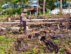 Polsek Bonggo Lanjutkan Perawatan Pos Polisi Bonggo Timur, Wujud Komitmen Menjaga Aset Polri