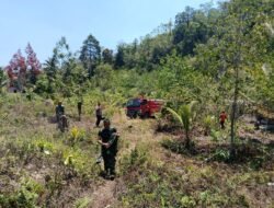 Gerak Cepat Gabungan, Karhutla di Belakang SMP Negeri 1 Yendidori Berhasil Ditangani