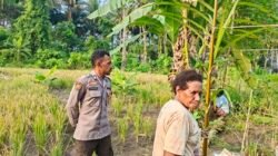 Jaga Kamtibmas, Bhabinkamtibmas Polsek Pantai Barat Sambangi Warga Kampung Arusuar dan Niwerawar
